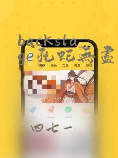 backstage孔蛇无尽漫画：结局+番外