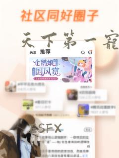 天下第一宠漫画