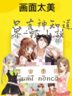 只有神知道的世界-轻小说