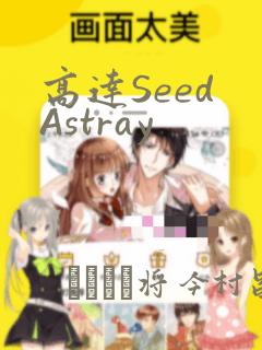 高达Seed Astray