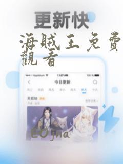海贼王免费漫画观看：结局+番外