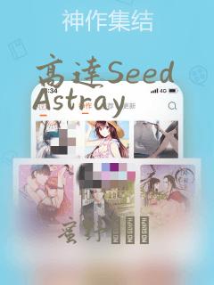 高达Seed Astray：结局+番外