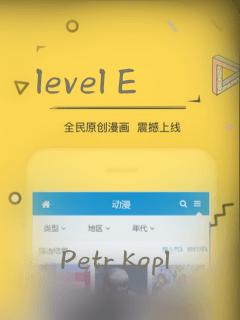level E