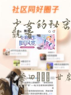 少女的秘密动漫观看：结局+番外