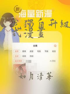 我独自升级下拉式漫画：结局+番外