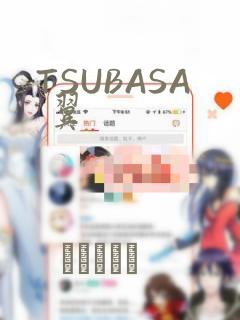 TSUBASA 翼：结局+番外