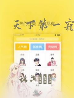 天下第一宠漫画：结局+番外