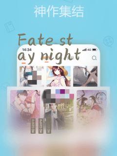 Fate stay night