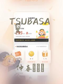 TSUBASA 翼：结局+番外