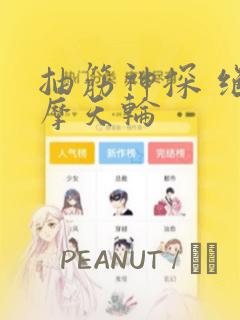 抽筋神探 绝密摩天轮：结局+番外