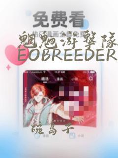 魍魉游击队 GEOBREEDERS：结局+番外