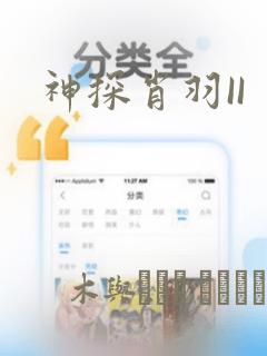 神探肖羽II：结局+番外