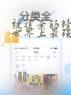 被遗弃的精灵是世界上最强最可爱的!