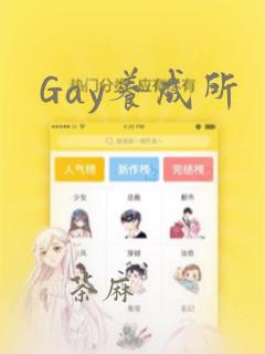 Gay养成所