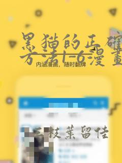 黑猫的正确填充方法1-6漫画：结局+番外