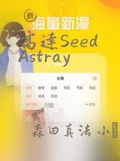 高达Seed Astray：结局+番外