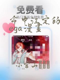 命中注定的omega漫画