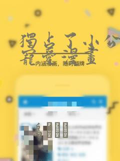 独占了小公主的宠爱漫画：结局+番外