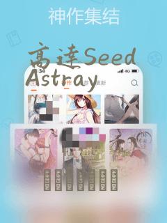 高达Seed Astray