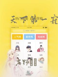 天下第一宠漫画