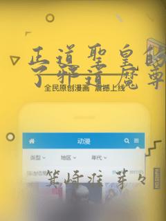 正道圣皇的我娶了邪道魔尊?!：结局+番外