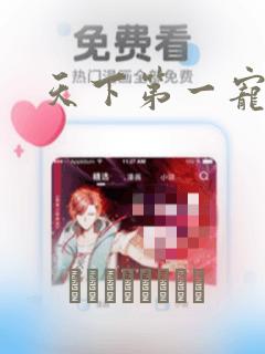 天下第一宠漫画：结局+番外