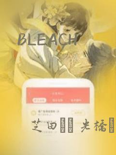 BLEACH：结局+番外