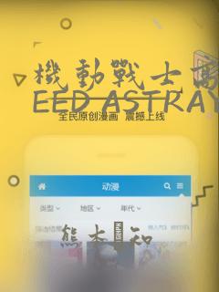 机动战士高达SEED ASTRAY R