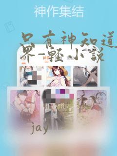 只有神知道的世界-轻小说