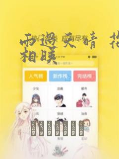 雨过天晴 花光相映：结局+番外