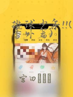 排球少年!!(番外篇)：结局+番外