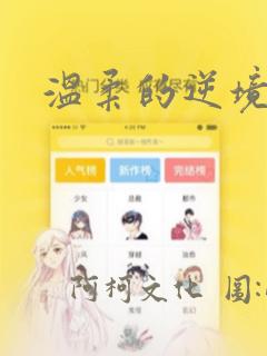 温柔的逆境：结局+番外