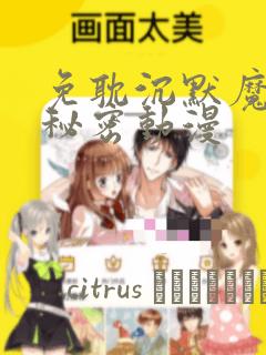 免耽沉默魔女的秘密动漫