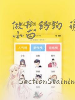 做我的狗 萌犬小白