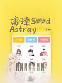 高达Seed Astray