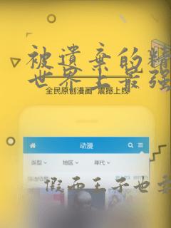 被遗弃的精灵是世界上最强最可爱的!