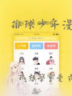 排球少年漫画：结局+番外