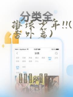 排球少年!!(番外篇)：结局+番外