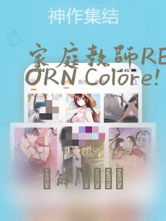 家庭教师REBORN Colore! 画集：结局+番外