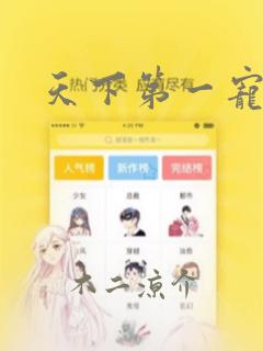 天下第一宠漫画