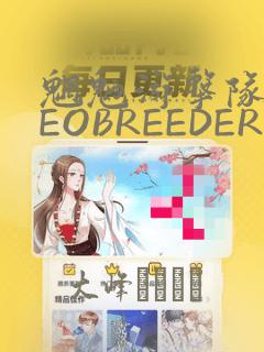 魍魉游击队 GEOBREEDERS：结局+番外