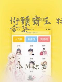 街头霸王 特刊合集：结局+番外