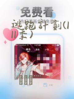 逃跑计划(I II季)：结局+番外