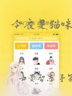 今夜是猫咪酱：结局+番外