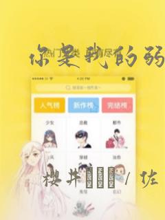 你是我的弱点：结局+番外