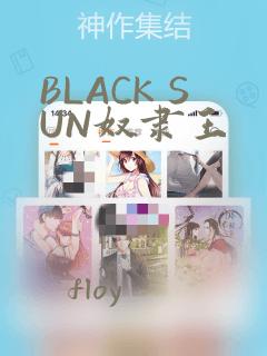 BLACK SUN奴隶王：结局+番外