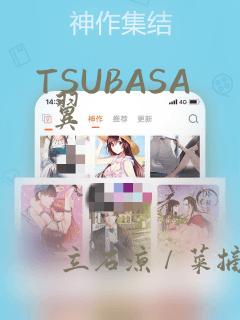 TSUBASA 翼