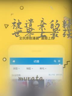 被遗弃的精灵是世界上最强最可爱的!：结局+番外