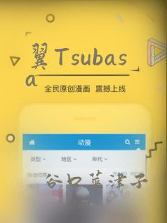 翼Tsubasa：结局+番外