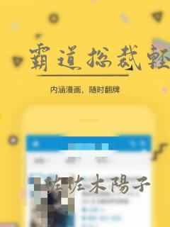 霸道总裁轻轻爱：结局+番外